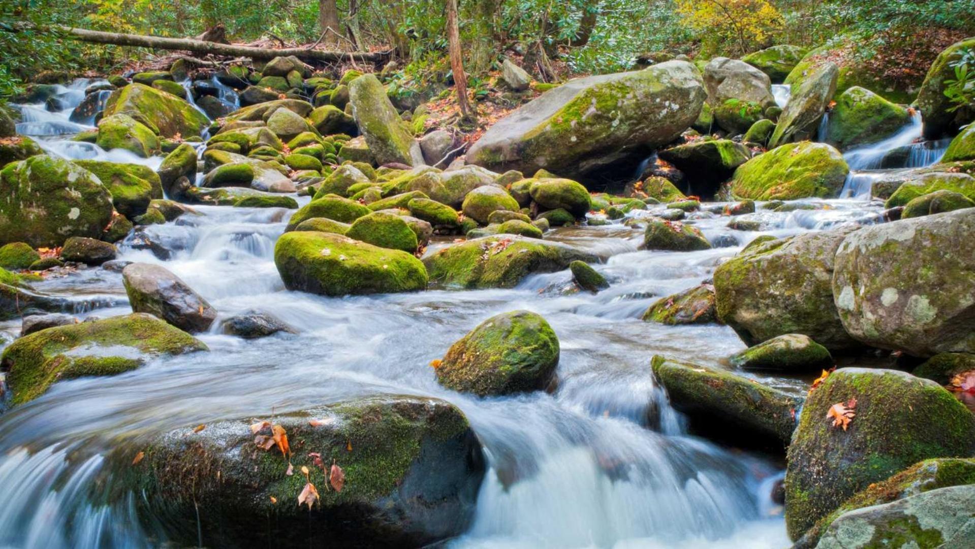 Little Smoky Retreat , 3 Bedroom , Close To Downtown Gatlinburg And Pigeon Forge Extérieur photo